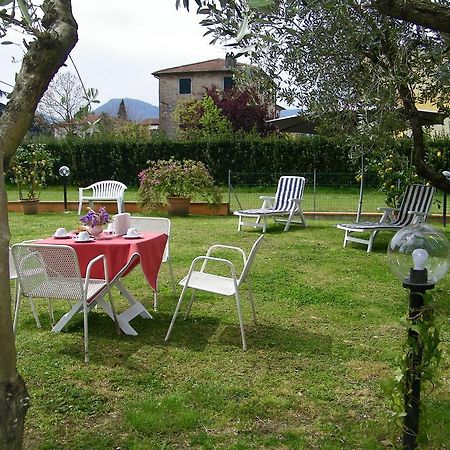 Triolivo B&B ルッカ エクステリア 写真