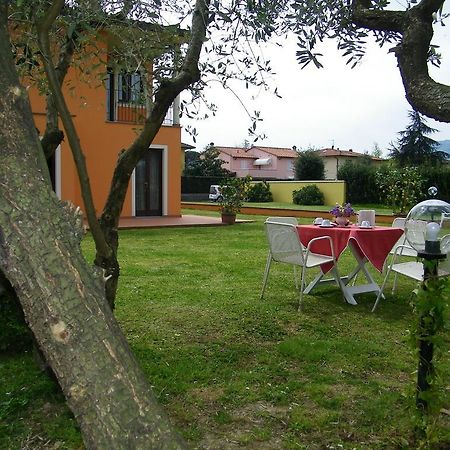 Triolivo B&B ルッカ エクステリア 写真